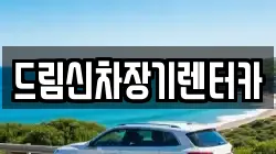 드림신차장기렌터카