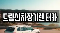드림신차장기렌터카