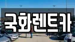 국화렌트카