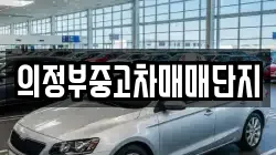 의정부중고차매매단지