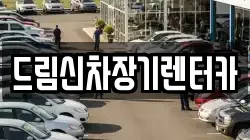 드림신차장기렌터카