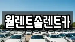 월렌트솜렌트카
