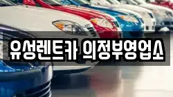 경기 의정부시 호원동 렌트카,단기렌트카,장기렌트카,중고차,중고차매매,중고차매입