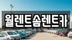 월렌트솜렌트카