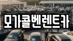 모가콜벤렌트카
