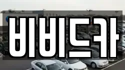 비비드카
