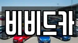 비비드카