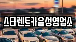스타렌트카음성영업소
