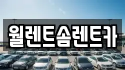 월렌트솜렌트카