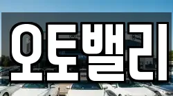 오토밸리