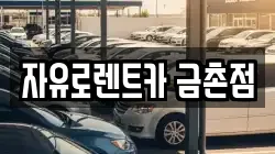경기 파주시 금릉동 렌트카,단기렌트카,장기렌트카,중고차,중고차매매,중고차매입