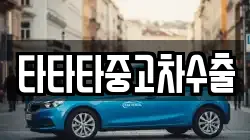 타타타중고차수출