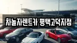 경기 평택시 고덕동 렌트카,단기렌트카,장기렌트카,중고차,중고차매매,중고차매입