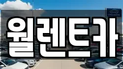 경기 평택시 고덕면 렌트카,단기렌트카,장기렌트카,중고차,중고차매매,중고차매입