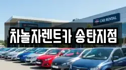 차놀자렌트카 송탄지점