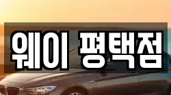 웨이 평택점