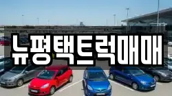 뉴평택트럭매매
