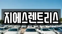 지에스렌트리스