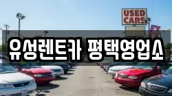 경기 평택시 비전동 렌트카,단기렌트카,장기렌트카,중고차,중고차매매,중고차매입
