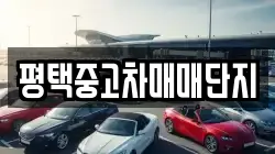 평택중고차매매단지