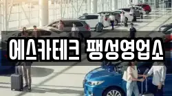 에스카테크 팽성영업소
