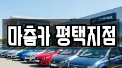 경기 평택시 신장동 렌트카,단기렌트카,장기렌트카,중고차,중고차매매,중고차매입