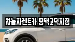 차놀자렌트카 평택고덕지점