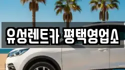 유성렌트카 평택영업소