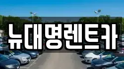 뉴대명렌트카