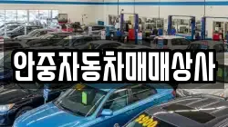 안중자동차매매상사
