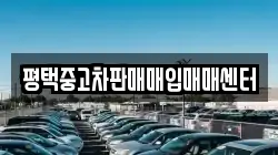 평택중고차판매매입매매센터