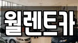 월렌트카