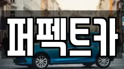 퍼펙트카