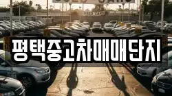 평택중고차매매단지