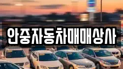 안중자동차매매상사
