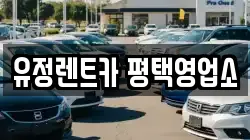 경기 평택시 합정동 렌트카,단기렌트카,장기렌트카,중고차,중고차매매,중고차매입