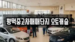 평택중고차매매단지 오토캐슬