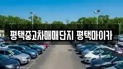 평택중고차매매단지 평택마이카
