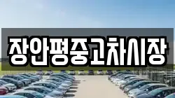 장안평중고차시장