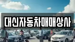 경기 포천시 선단동 렌트카,단기렌트카,장기렌트카,중고차,중고차매매,중고차매입