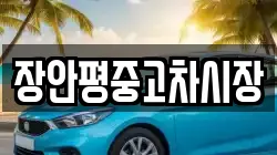 장안평중고차시장
