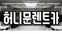 경기 포천시 일동면 렌트카,단기렌트카,장기렌트카,중고차,중고차매매,중고차매입