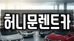 경기 포천시 자작동 렌트카,단기렌트카,장기렌트카,중고차,중고차매매,중고차매입