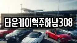 타운카이혁주하남308