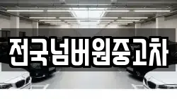 전국넘버원중고차