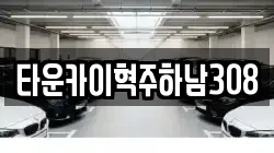 타운카이혁주하남308