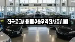 전국중고차매매수출무역전차종시세
