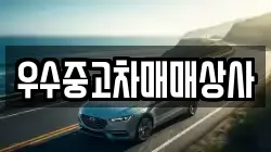 우수중고차매매상사