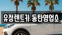경기 화성시 병점동 렌트카,단기렌트카,장기렌트카,중고차,중고차매매,중고차매입