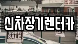 신차장기렌터카
